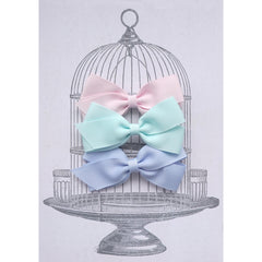 Medium Clip Gift Set Pastels