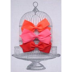 Medium Clip Gift Set Brights