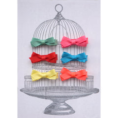 Small Clip Gift Set Brights