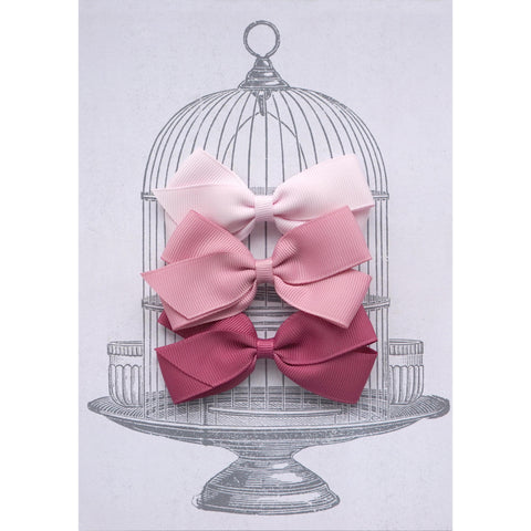 Medium Clip Gift Set Pinks