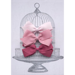 Medium Clip Gift Set Pinks