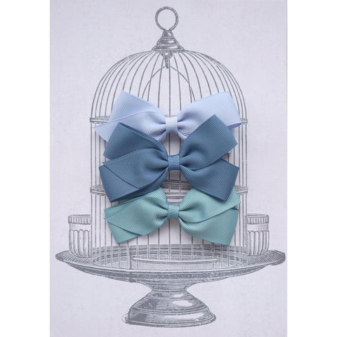 Medium Clip Gift Set Blues