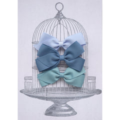 Medium Clip Gift Set Blues